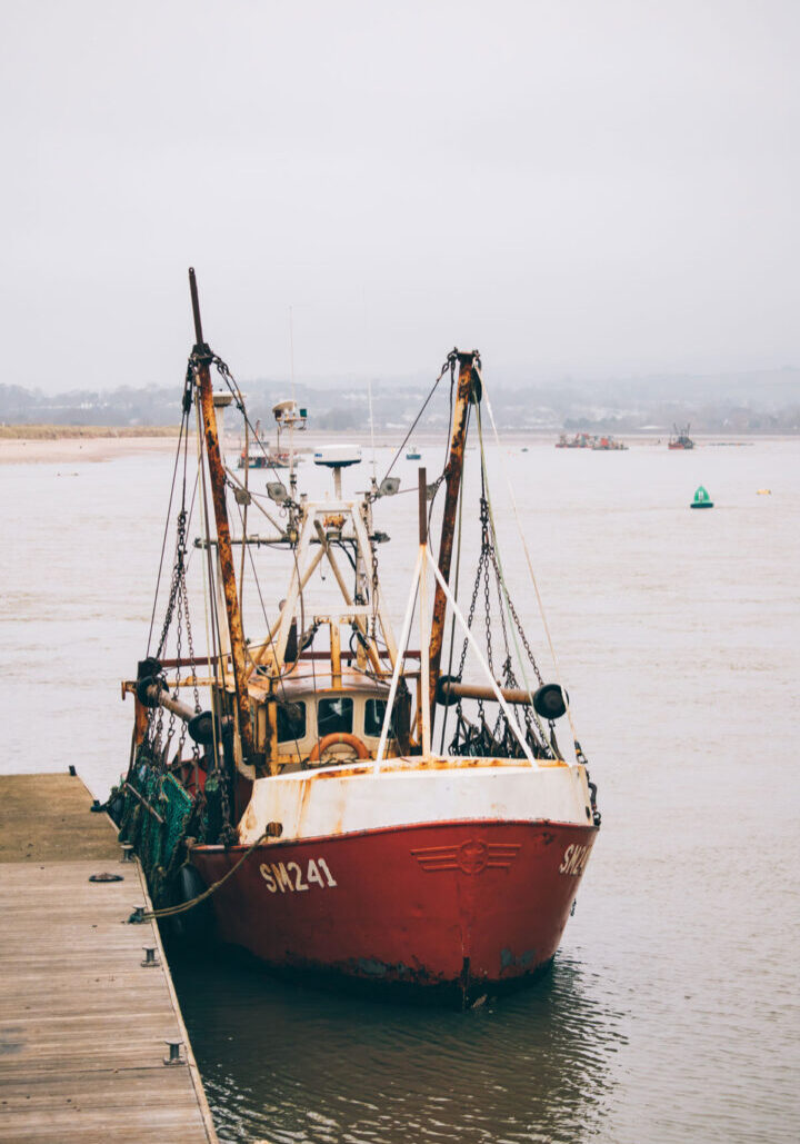 pexels-ellie-burgin-3643741-op
